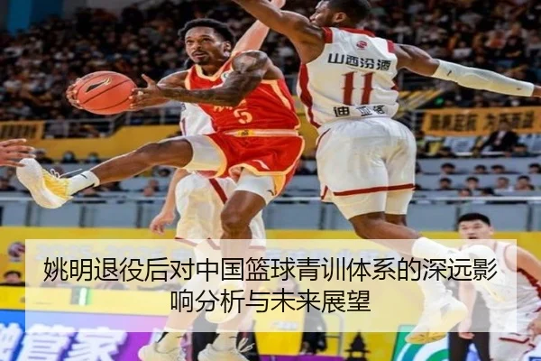 姚明退役后对中国篮球青训体系的深远影响分析与未来展望