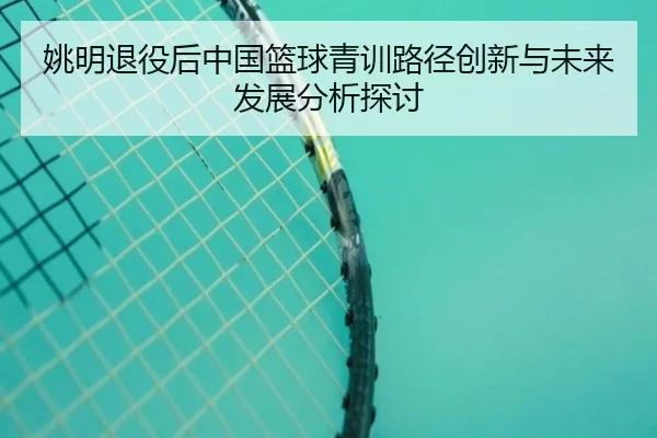姚明退役后中国篮球青训路径创新与未来发展分析探讨