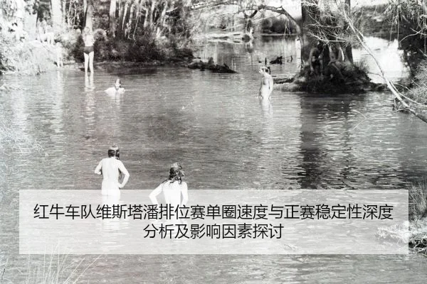 红牛车队维斯塔潘排位赛单圈速度与正赛稳定性深度分析及影响因素探讨